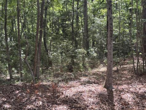 00 James Weston Drive Mount Pleasant SC 29429