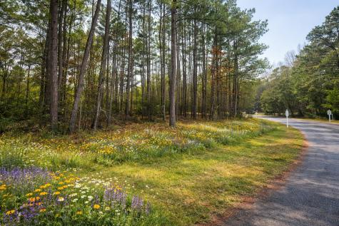 320 Lake Arbu Drive Manning SC 29102