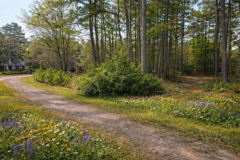 320 Lake Arbu Drive Manning SC 29102