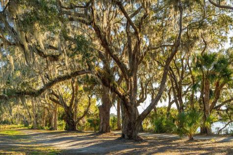 3022 Eventide Drive Johns Island SC 29455