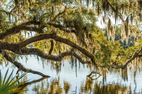 3022 Eventide Drive Johns Island SC 29455