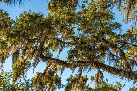 3022 Eventide Drive Johns Island SC 29455