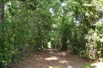 00 Bobbie Lane Pineville SC 29468