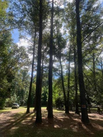 130 Montana Lane Summerville SC 29483