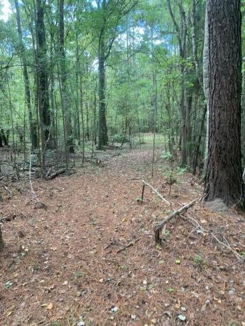 130 Montana Lane Summerville SC 29483
