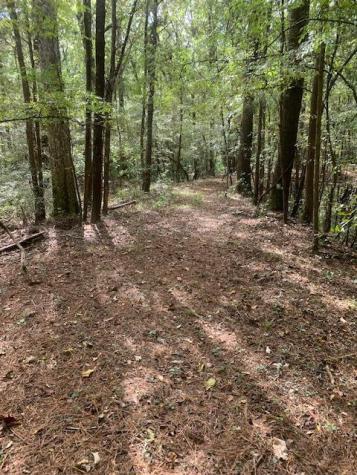 130 Montana Lane Summerville SC 29483