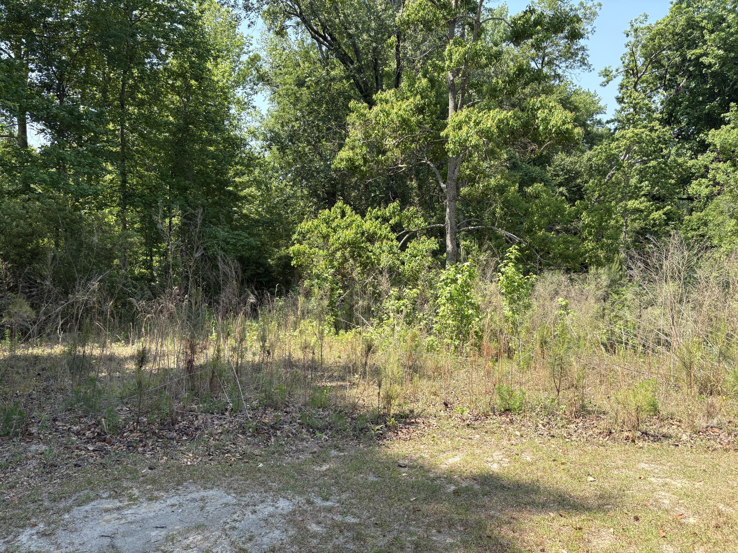 3660 Foxfire Lane Orangeburg SC 29118