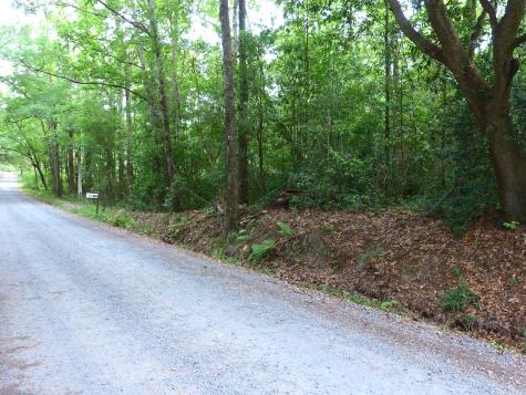 0 Branch Road Moncks Corner SC 29461