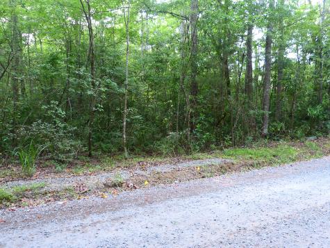 0 Branch Road Moncks Corner SC 29461