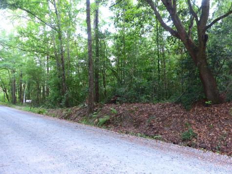 0 Branch Road Moncks Corner SC 29461