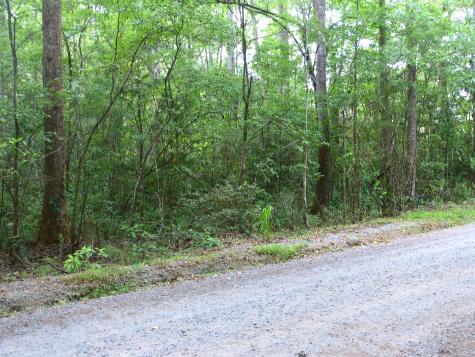 0 Branch Road Moncks Corner SC 29461