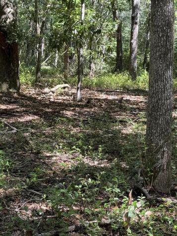3934 Gnarled Oaks Lane Johns Island SC 29455