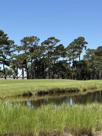 3934 Gnarled Oaks Lane Johns Island SC 29455
