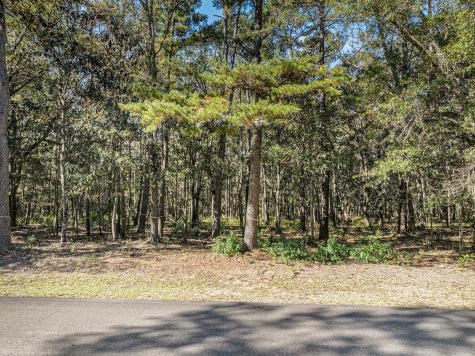 3934 Gnarled Oaks Lane Johns Island SC 29455