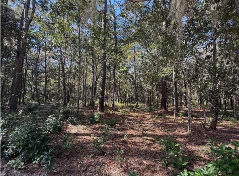 3934 Gnarled Oaks Lane Johns Island SC 29455