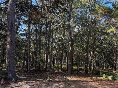 3934 Gnarled Oaks Lane Johns Island SC 29455