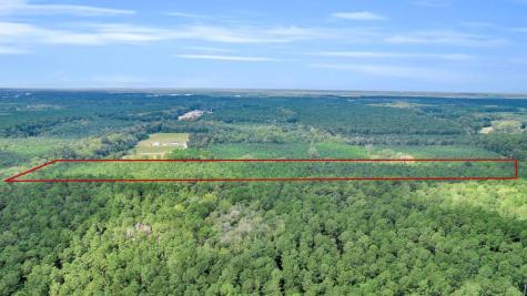 0 Sheep Island Road Summerville SC 29486
