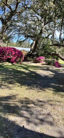 185 Wappoo Road Charleston SC 29407