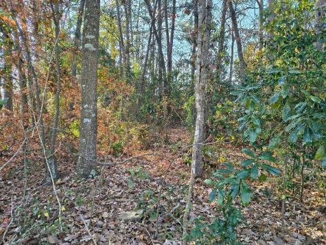 0 Pointer Lane Summerville SC 29485