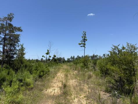 0 Halsellville Road Chester SC 29706