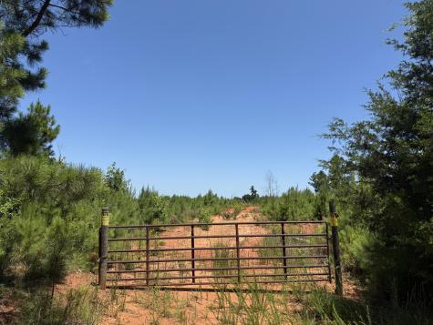 0 Halsellville Road Chester SC 29706
