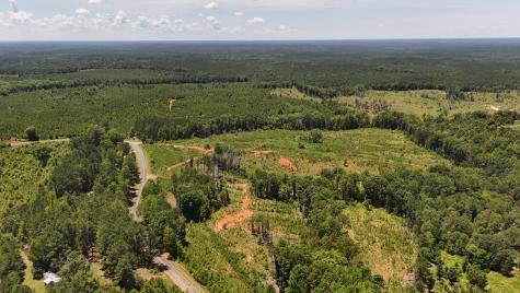 0 Halsellville Road Chester SC 29706