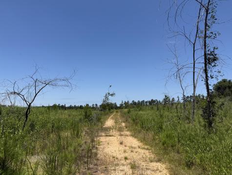 0 Halsellville Road Chester SC 29706