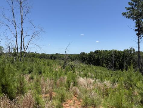 0 Halsellville Road Chester SC 29706