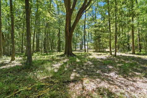6023 Postell Drive Ravenel SC 29470