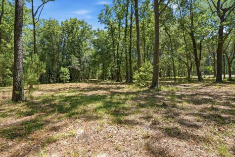 6023 Postell Drive Ravenel SC 29470