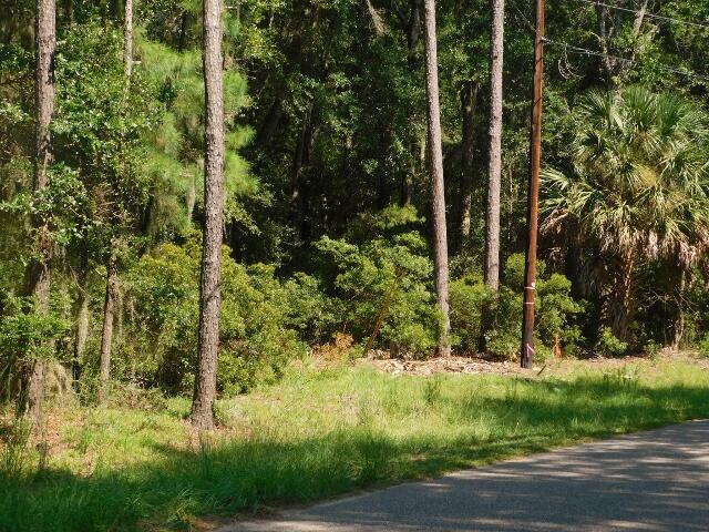 8662 Palmetto Road Edisto Island SC 29438