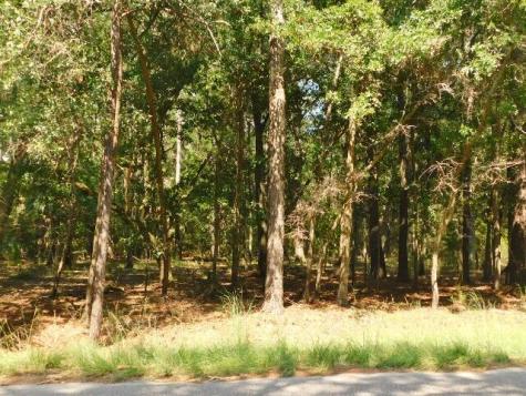 8662 Palmetto Road Edisto Island SC 29438