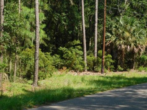 8662 Palmetto Road Edisto Island SC 29438