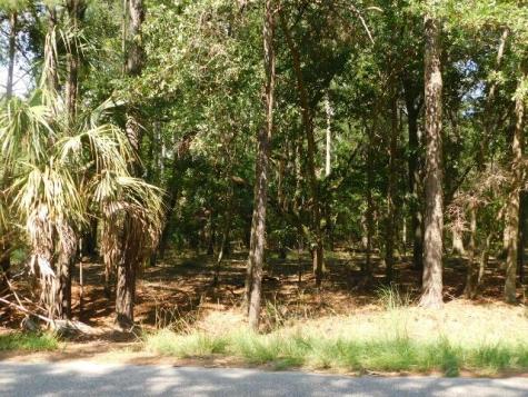 8662 Palmetto Road Edisto Island SC 29438