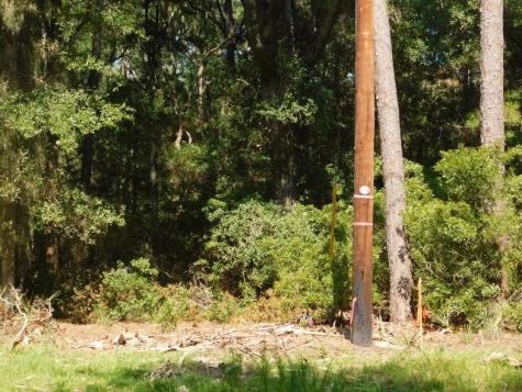 8662 Palmetto Road Edisto Island SC 29438