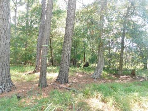8662 Palmetto Road Edisto Island SC 29438
