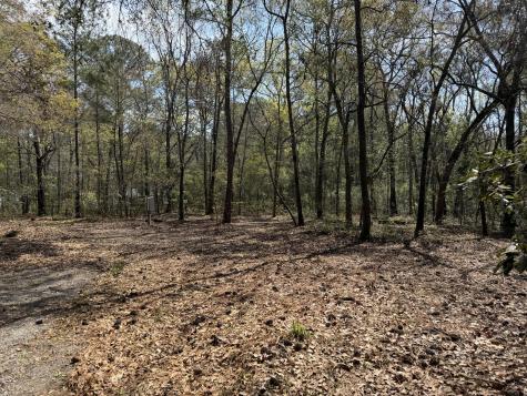 6321 Bears Bluff Road Wadmalaw Island SC 29487