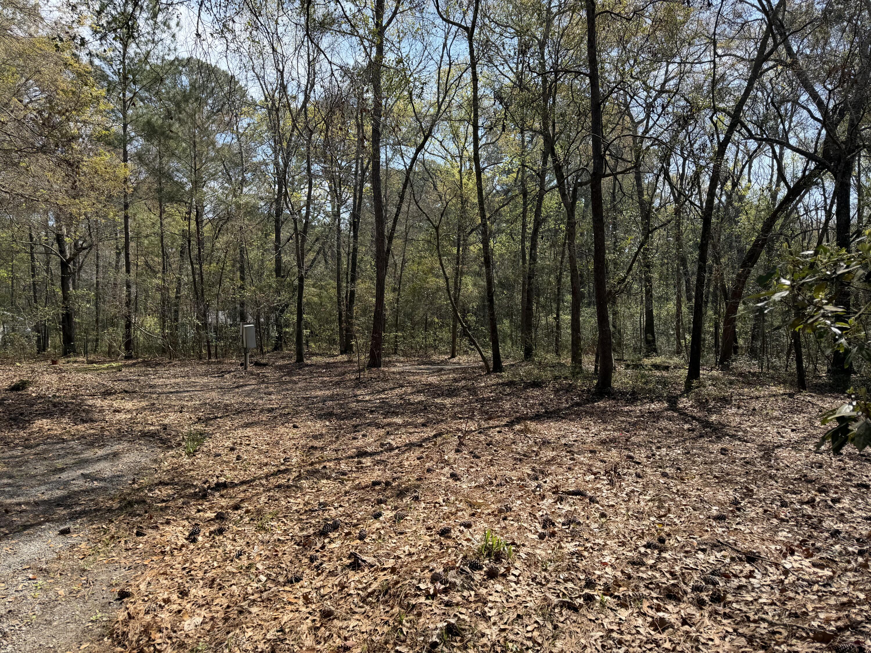 6321 Bears Bluff Road Wadmalaw Island SC 29487