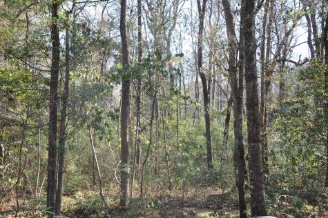 6321 Bears Bluff Road Wadmalaw Island SC 29487