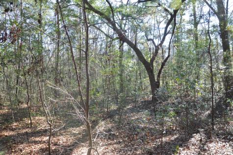 6321 Bears Bluff Road Wadmalaw Island SC 29487