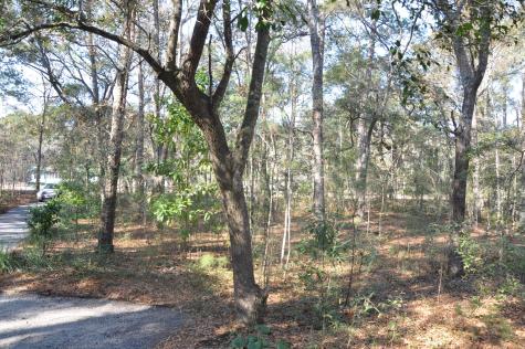 6321 Bears Bluff Road Wadmalaw Island SC 29487