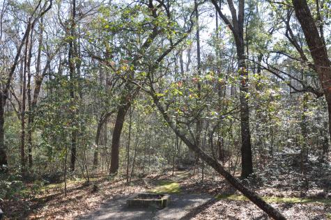 6321 Bears Bluff Road Wadmalaw Island SC 29487