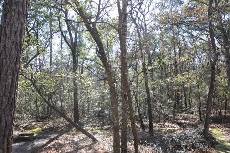 6321 Bears Bluff Road Wadmalaw Island SC 29487