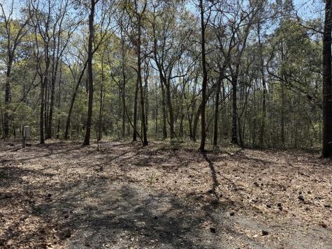 6321 Bears Bluff Road Wadmalaw Island SC 29487