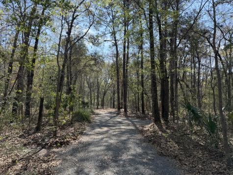 6321 Bears Bluff Road Wadmalaw Island SC 29487