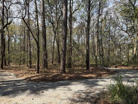 6321 Bears Bluff Road Wadmalaw Island SC 29487
