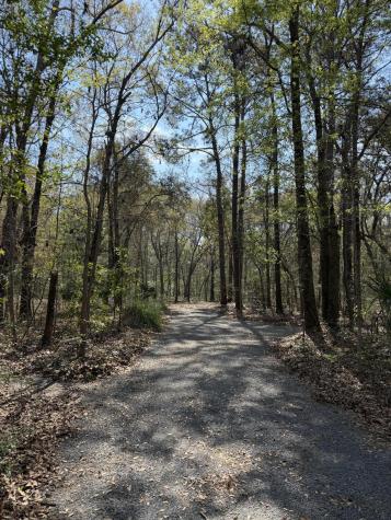 6321 Bears Bluff Road Wadmalaw Island SC 29487