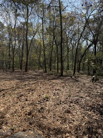 6321 Bears Bluff Road Wadmalaw Island SC 29487