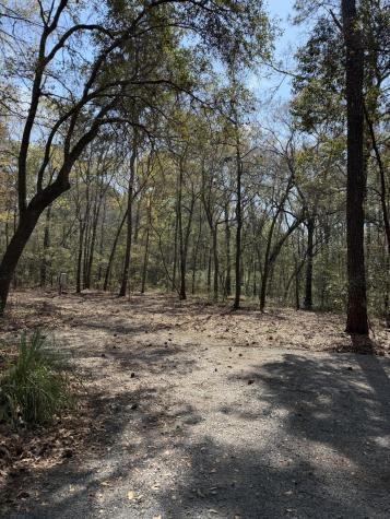 6321 Bears Bluff Road Wadmalaw Island SC 29487