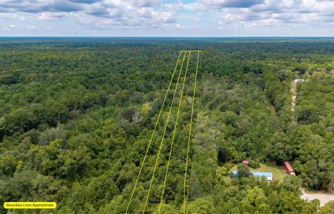 000 N Highway 17 Mount Pleasant SC 29464